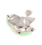 胸きゅん！癒しわんこミルク♪（個別スタンプ：6）