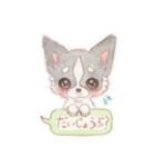 胸きゅん！癒しわんこミルク♪（個別スタンプ：8）