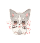 胸きゅん！癒しわんこミルク♪（個別スタンプ：9）