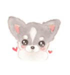 胸きゅん！癒しわんこミルク♪（個別スタンプ：18）