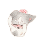胸きゅん！癒しわんこミルク♪（個別スタンプ：22）