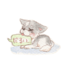 胸きゅん！癒しわんこミルク♪（個別スタンプ：26）