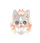 胸きゅん！癒しわんこミルク♪（個別スタンプ：36）