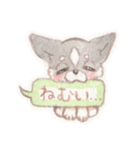 胸きゅん！癒しわんこミルク♪（個別スタンプ：37）