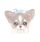 胸きゅん！癒しわんこミルク♪（個別スタンプ：38）