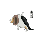 生意気なビーグル犬みんとん（個別スタンプ：11）