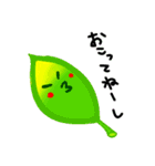 葉っぱキャラの日常会話（個別スタンプ：13）