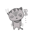 white Kitten ＆ Red Panda.（個別スタンプ：28）