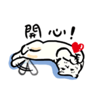 Loose-principled Cat（個別スタンプ：17）