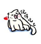 Loose-principled Cat（個別スタンプ：21）