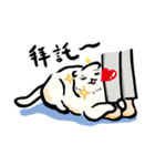 Loose-principled Cat（個別スタンプ：32）