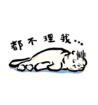 Loose-principled Cat（個別スタンプ：33）