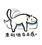 Loose-principled Cat（個別スタンプ：34）