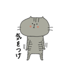 きんた。（個別スタンプ：13）