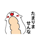 グラサンはむ（個別スタンプ：8）