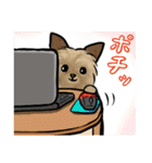 コダフミスタンプ（個別スタンプ：19）