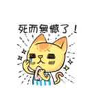 Cat Rabbit League-Baseball（個別スタンプ：36）