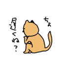 ねこやで（個別スタンプ：25）