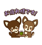 Chihuahua Brother's - Shiyairo ＆ Tramp（個別スタンプ：3）
