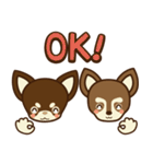 Chihuahua Brother's - Shiyairo ＆ Tramp（個別スタンプ：5）
