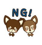 Chihuahua Brother's - Shiyairo ＆ Tramp（個別スタンプ：6）