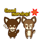 Chihuahua Brother's - Shiyairo ＆ Tramp（個別スタンプ：7）