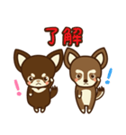 Chihuahua Brother's - Shiyairo ＆ Tramp（個別スタンプ：9）