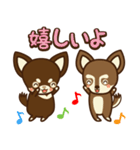 Chihuahua Brother's - Shiyairo ＆ Tramp（個別スタンプ：10）