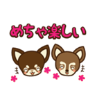 Chihuahua Brother's - Shiyairo ＆ Tramp（個別スタンプ：11）
