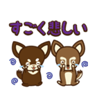 Chihuahua Brother's - Shiyairo ＆ Tramp（個別スタンプ：12）