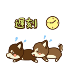 Chihuahua Brother's - Shiyairo ＆ Tramp（個別スタンプ：14）