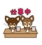 Chihuahua Brother's - Shiyairo ＆ Tramp（個別スタンプ：15）