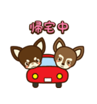 Chihuahua Brother's - Shiyairo ＆ Tramp（個別スタンプ：16）