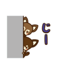 Chihuahua Brother's - Shiyairo ＆ Tramp（個別スタンプ：19）