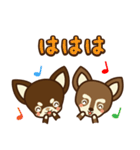 Chihuahua Brother's - Shiyairo ＆ Tramp（個別スタンプ：20）
