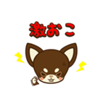 Chihuahua Brother's - Shiyairo ＆ Tramp（個別スタンプ：22）