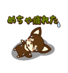 Chihuahua Brother's - Shiyairo ＆ Tramp（個別スタンプ：25）