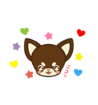 Chihuahua Brother's - Shiyairo ＆ Tramp（個別スタンプ：27）