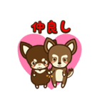 Chihuahua Brother's - Shiyairo ＆ Tramp（個別スタンプ：30）