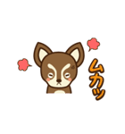 Chihuahua Brother's - Shiyairo ＆ Tramp（個別スタンプ：32）