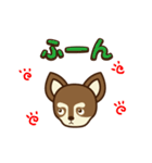 Chihuahua Brother's - Shiyairo ＆ Tramp（個別スタンプ：38）