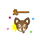 Chihuahua Brother's - Shiyairo ＆ Tramp（個別スタンプ：39）