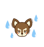 Chihuahua Brother's - Shiyairo ＆ Tramp（個別スタンプ：40）