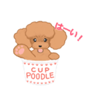 CUP POODLE プードルといろんなカップ（個別スタンプ：1）