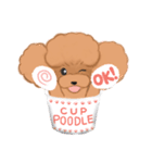 CUP POODLE プードルといろんなカップ（個別スタンプ：5）