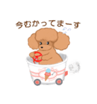 CUP POODLE プードルといろんなカップ（個別スタンプ：7）
