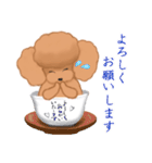 CUP POODLE プードルといろんなカップ（個別スタンプ：20）