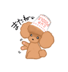 CUP POODLE プードルといろんなカップ（個別スタンプ：26）