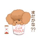 CUP POODLE プードルといろんなカップ（個別スタンプ：27）