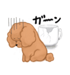 CUP POODLE プードルといろんなカップ（個別スタンプ：31）